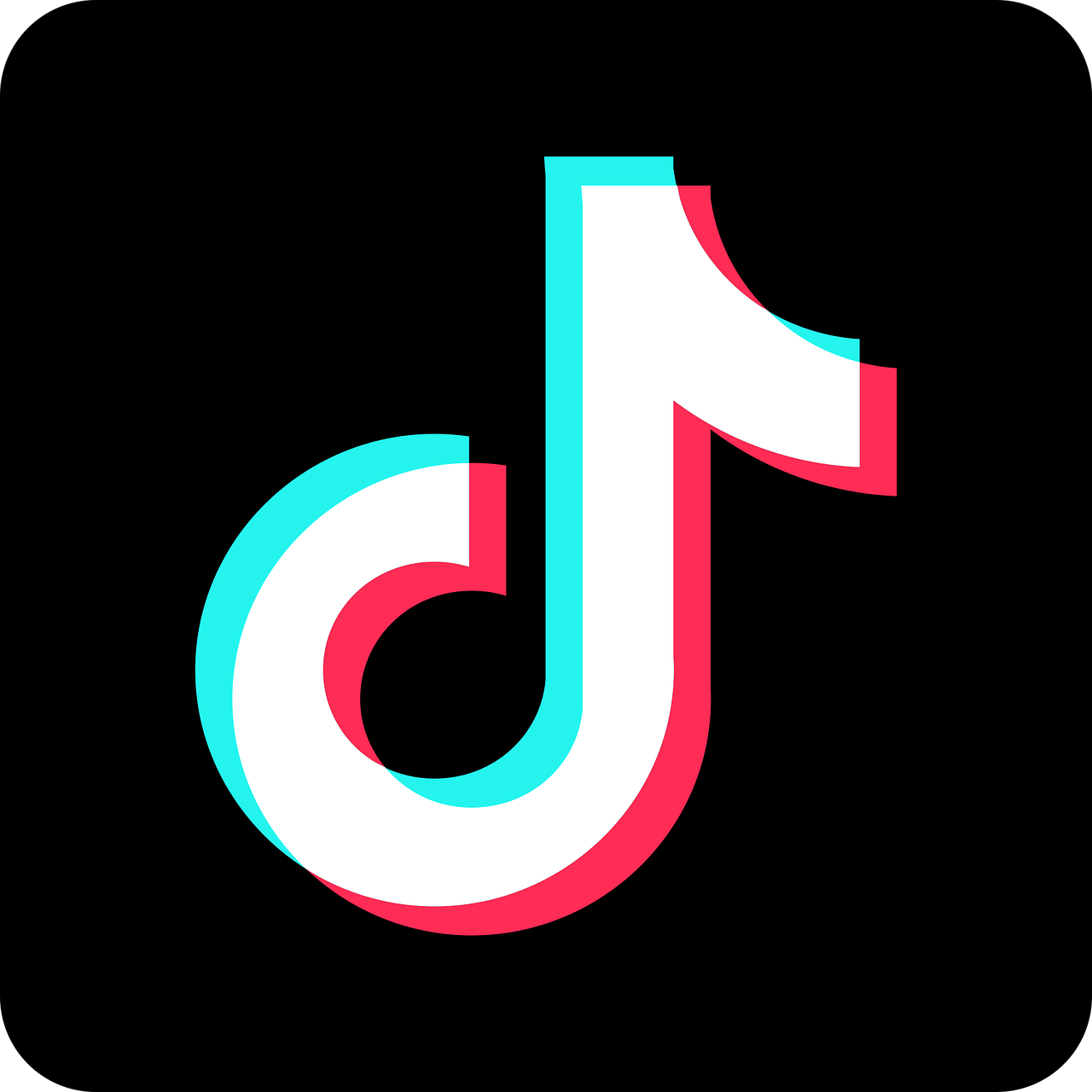 5 TikTok Tips